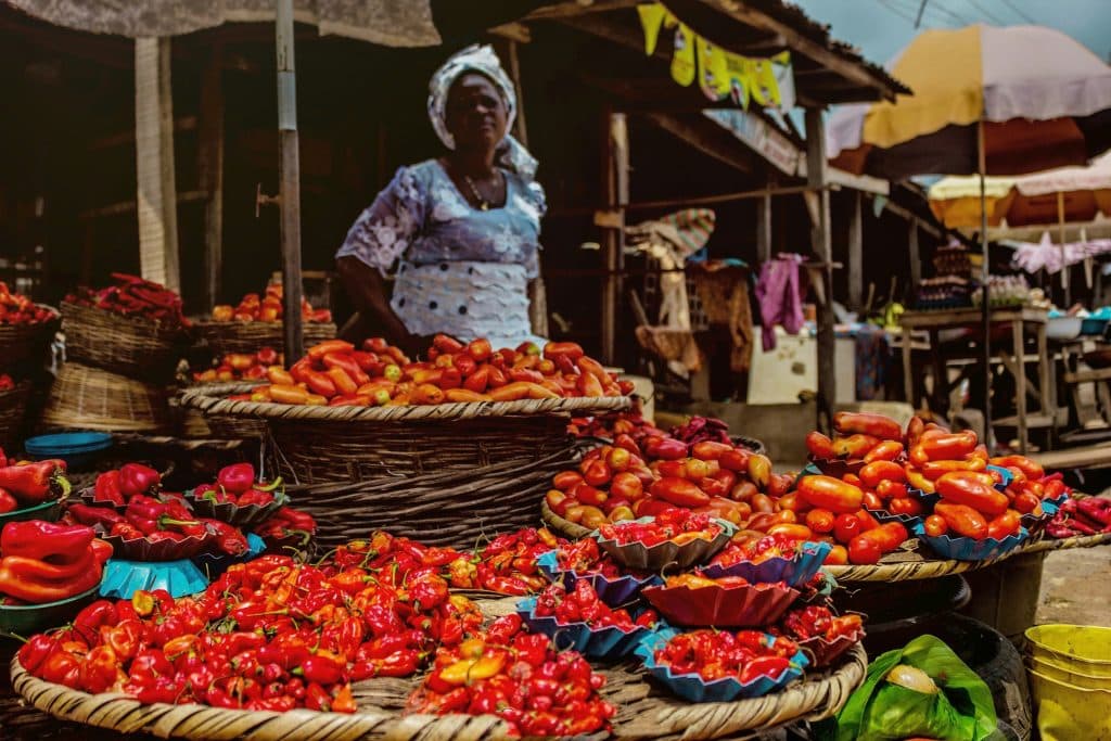 Cost of Living in Ogudu, Lagos State: Rent, Food, Transport and Utilities